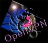 OpenVPN logo